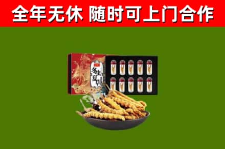 施秉烟酒回收冬虫夏草礼盒.jpg